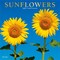Plato; Sunflowers | 2027 12 x 24 Inch (Hanging) Monthly Square Wall Calendar | Foil Stamped Cover; Category:Wall Calendars; Image:2